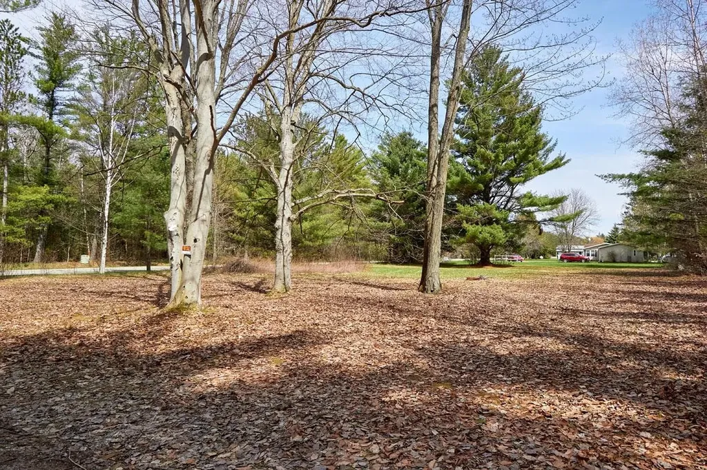 Taxiway Foxtrot Reeder Township MI 49651