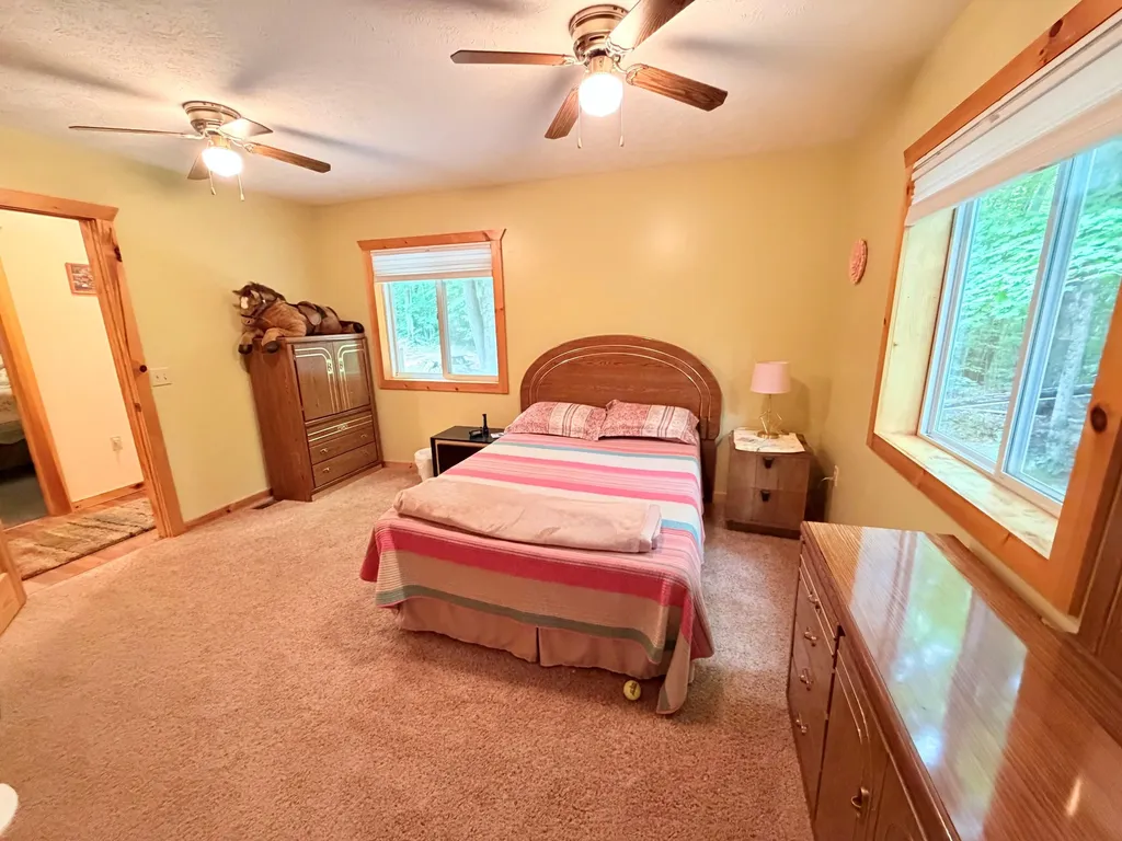 5020 Satterly Lake Road Chestonia Township MI 49659