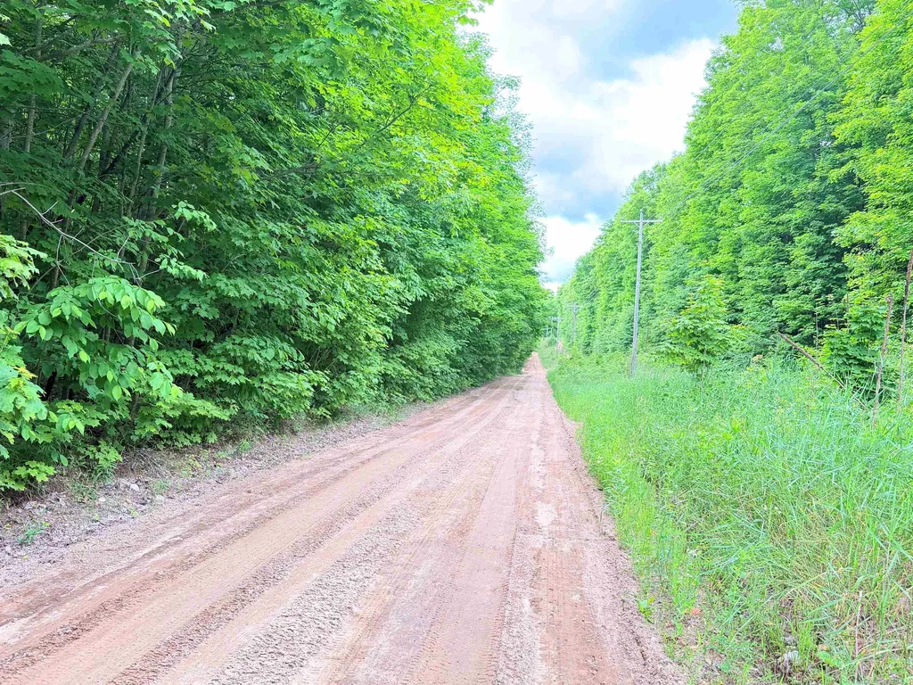 5020 Satterly Lake Road Chestonia Township MI 49659