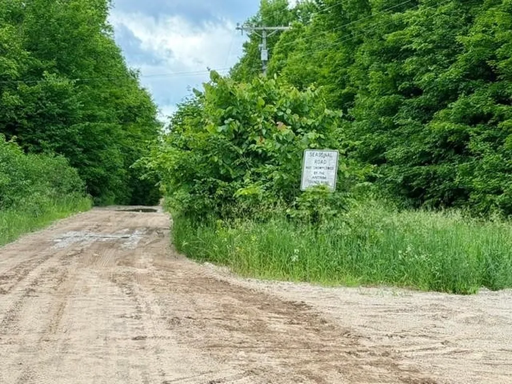 5020 Satterly Lake Road Chestonia Township MI 49659
