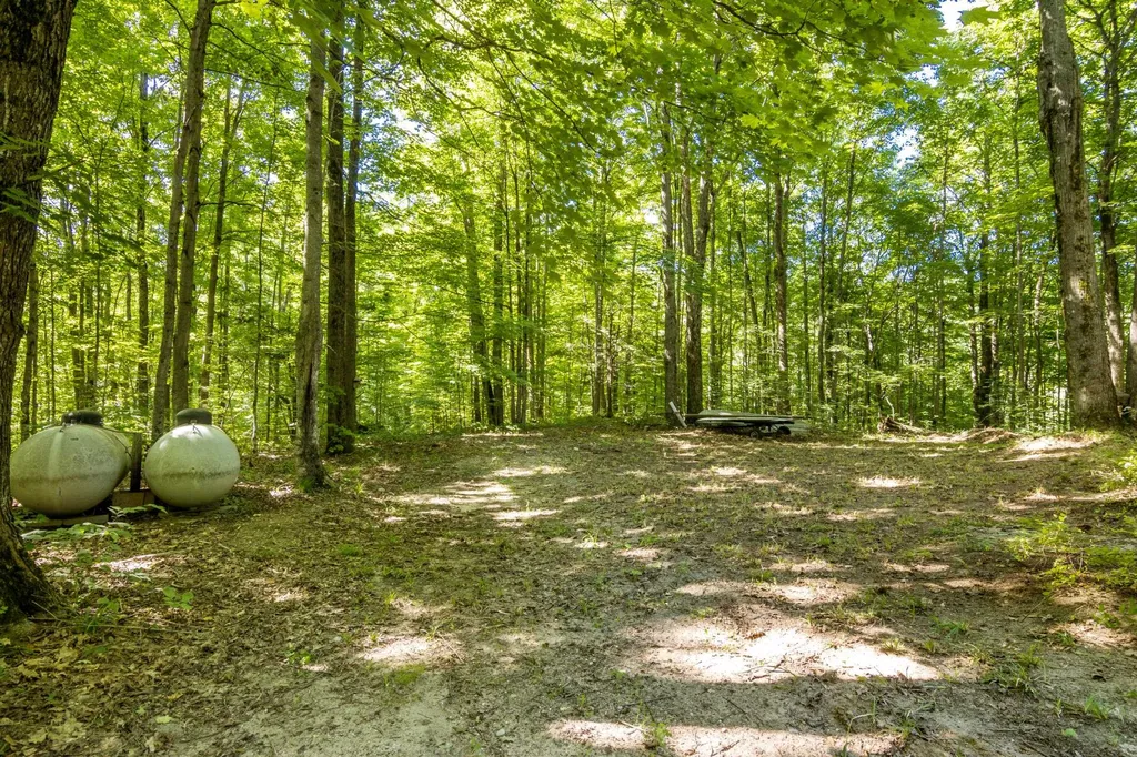 5020 Satterly Lake Road Chestonia Township MI 49659