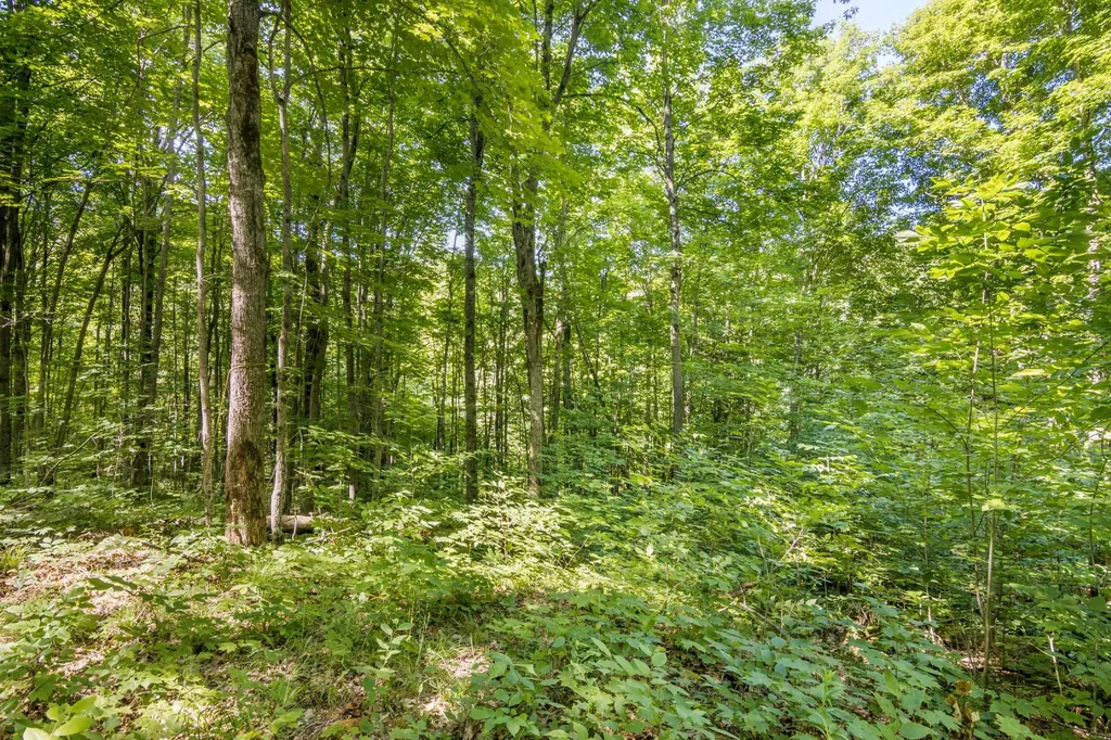 5020 Satterly Lake Road Chestonia Township MI 49659