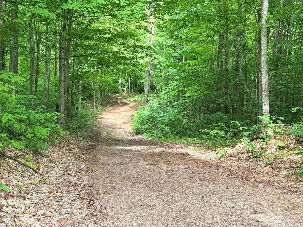 5020 Satterly Lake Road Chestonia Township MI 49659