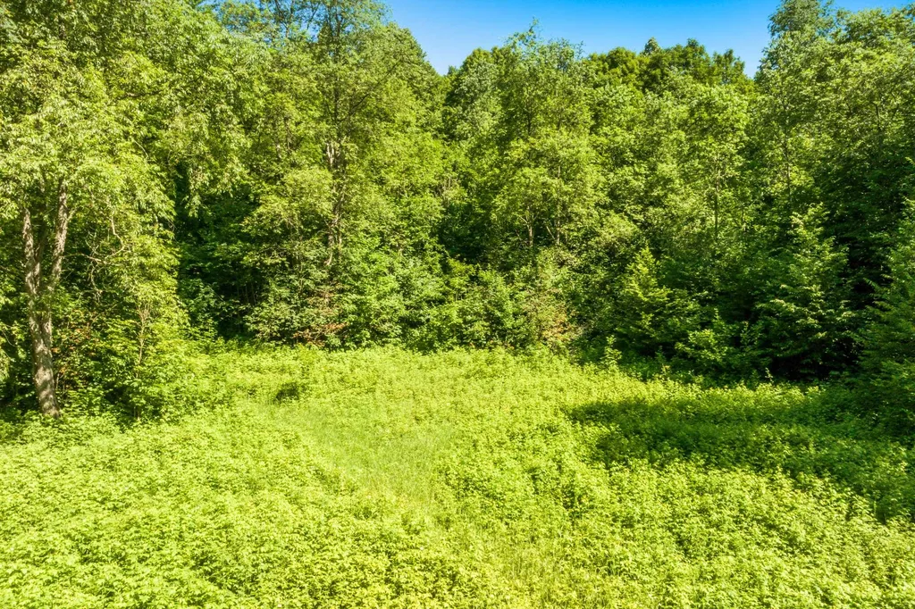 5020 Satterly Lake Road Chestonia Township MI 49659