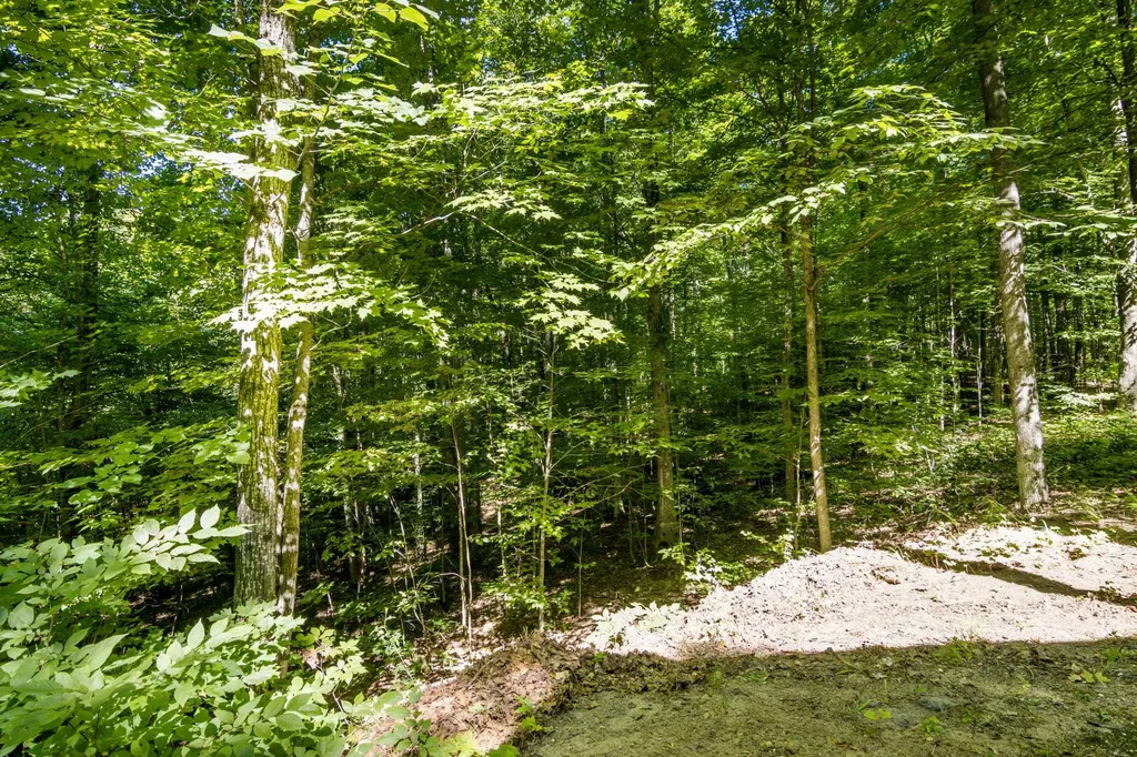 5020 Satterly Lake Road Chestonia Township MI 49659