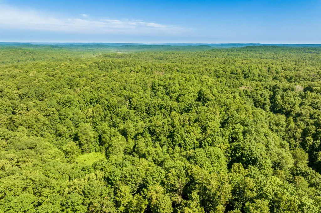 5020 Satterly Lake Road Chestonia Township MI 49659