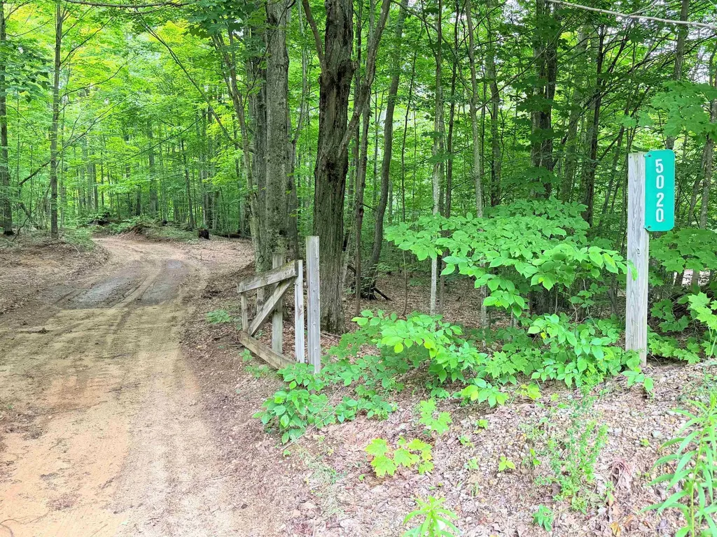 5020 Satterly Lake Road Chestonia Township MI 49659