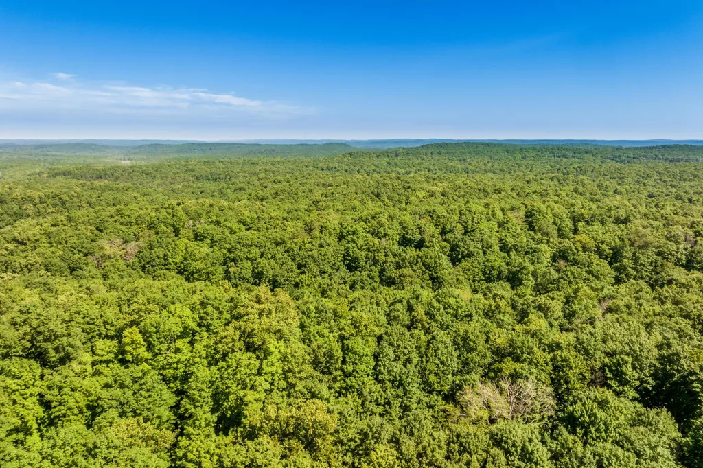 5020 Satterly Lake Road Chestonia Township MI 49659