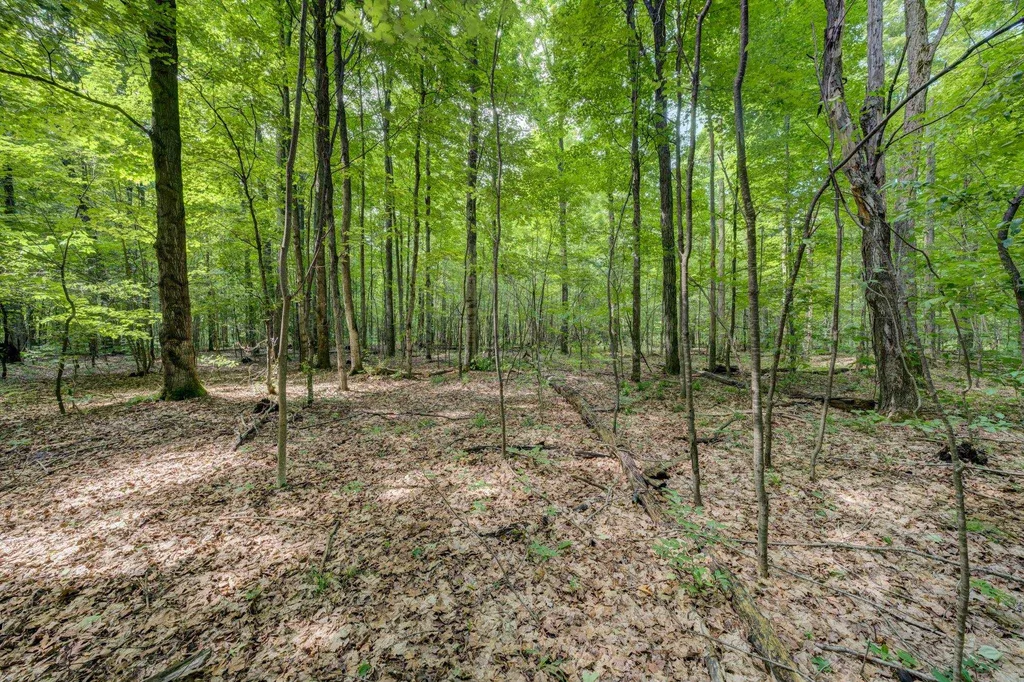 223 Pinecrest Lane Homestead Township MI 49617