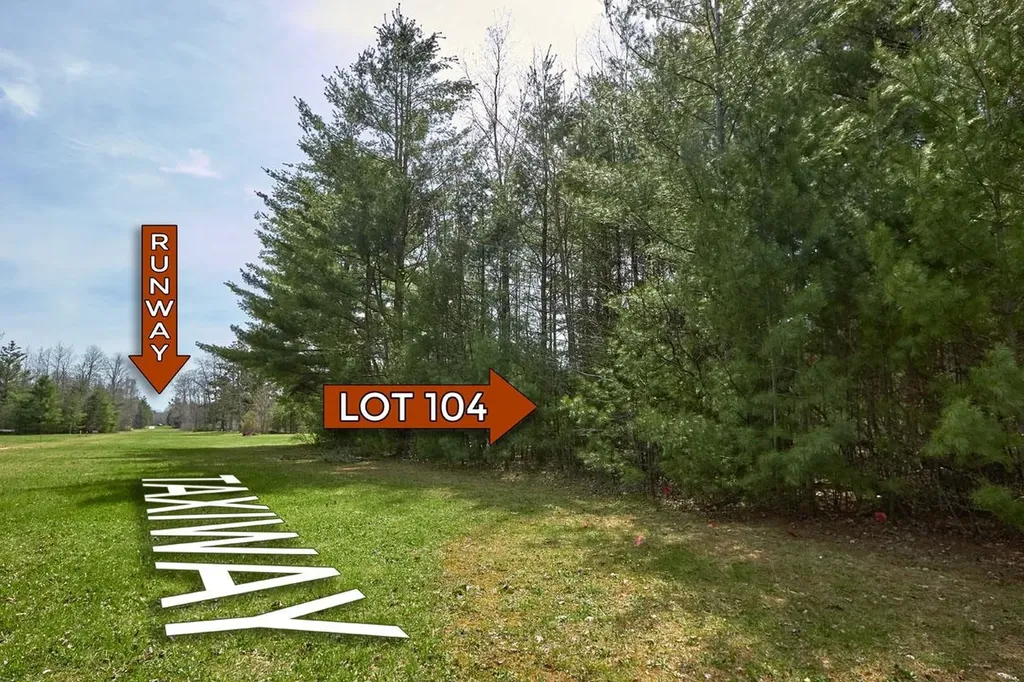 Taxiway Foxtrot Reeder Township MI 49651