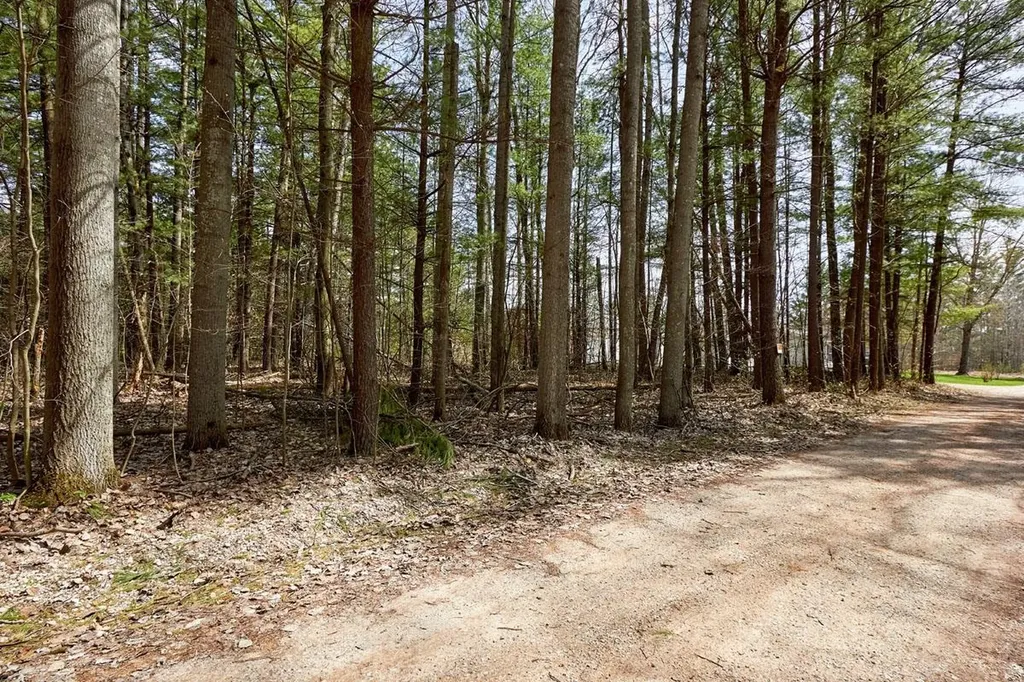Taxiway Foxtrot Reeder Township MI 49651
