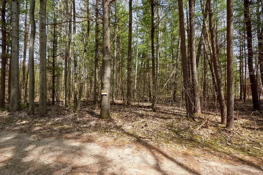 Taxiway Foxtrot Reeder Township MI 49651