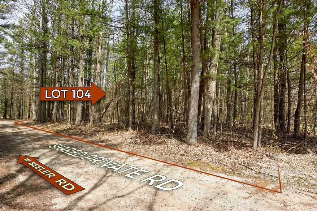 Taxiway Foxtrot Reeder Township MI 49651