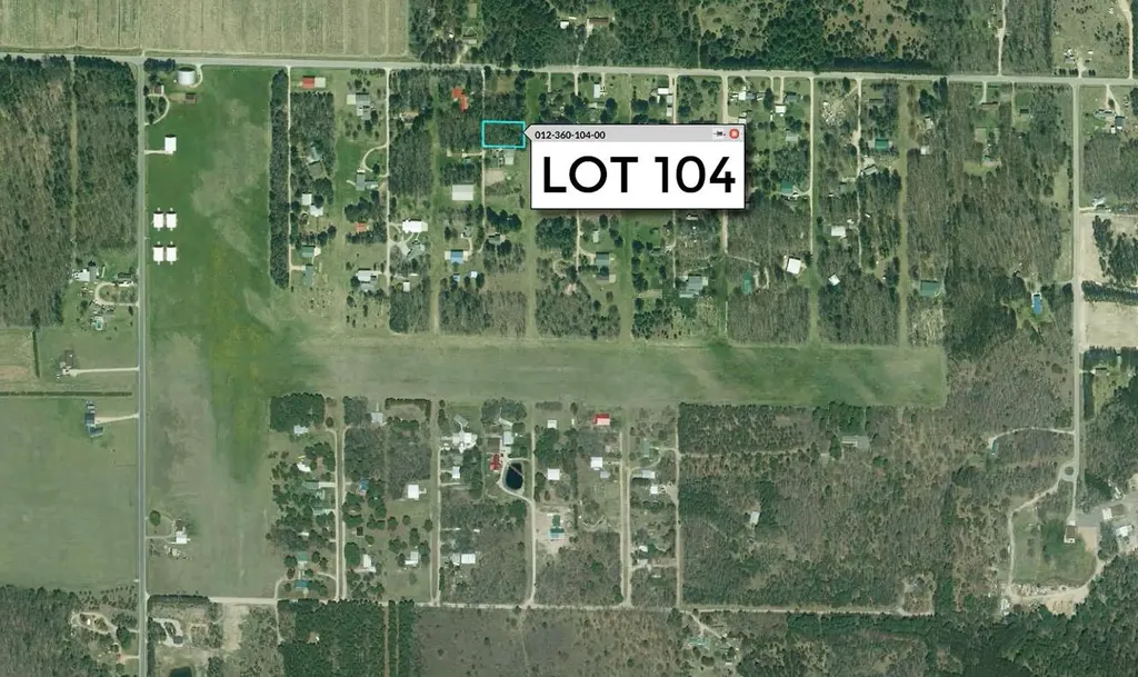 Taxiway Foxtrot Reeder Township MI 49651