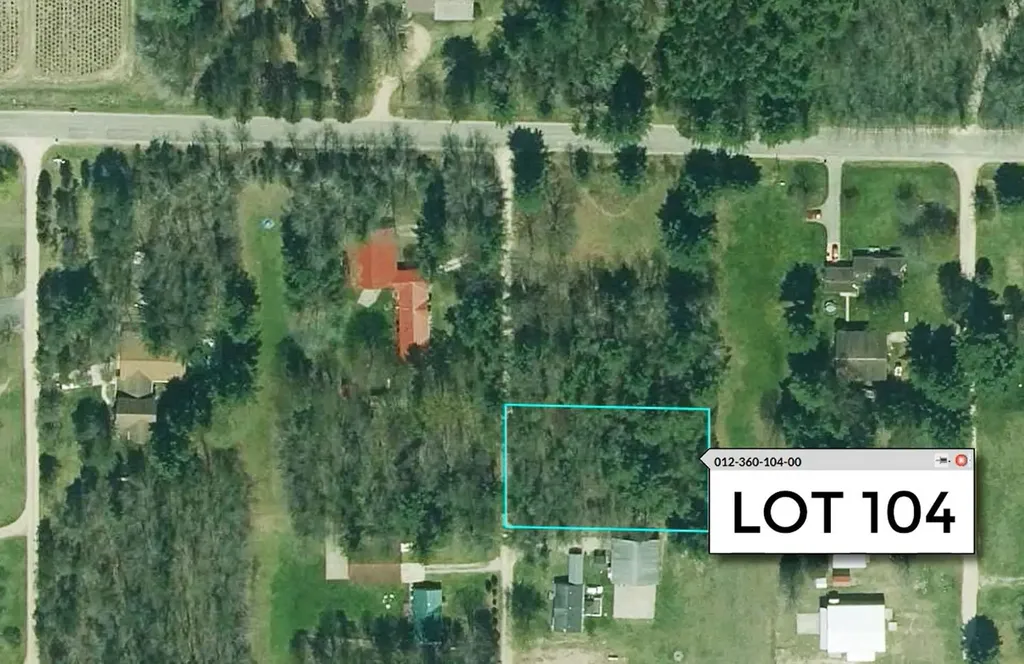 Taxiway Foxtrot Reeder Township MI 49651