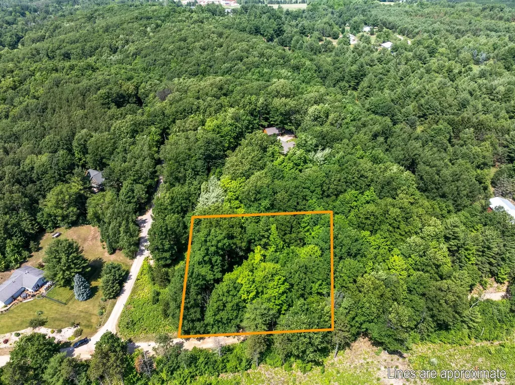 0 O'dell Road Whitewater Township MI 49690