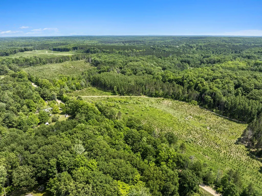 0 O'dell Road Whitewater Township MI 49690
