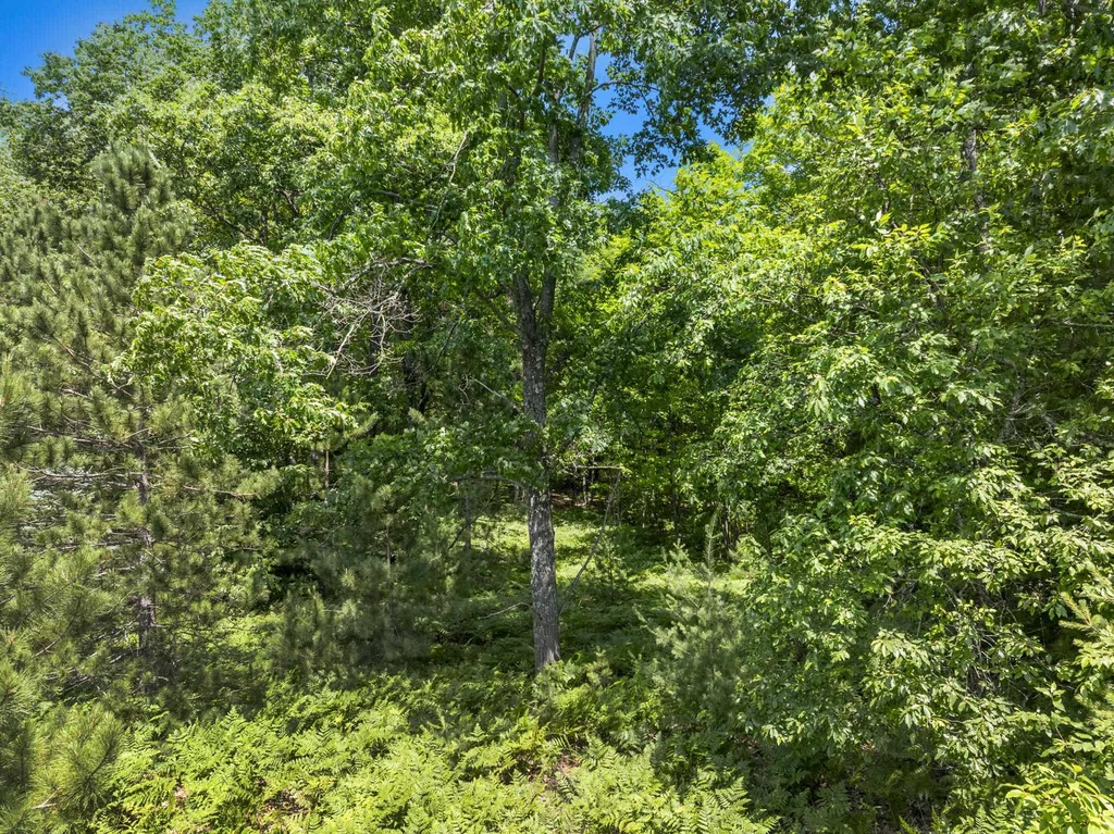 0 O'dell Road Whitewater Township MI 49690