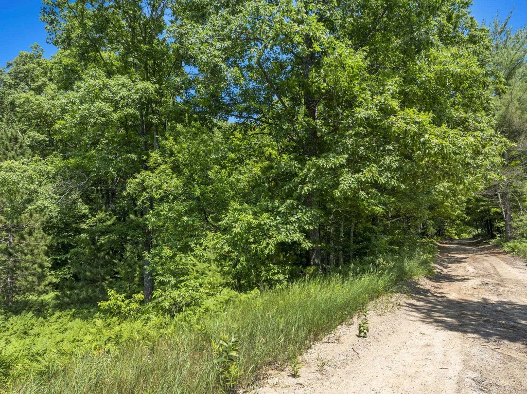 0 O'dell Road Whitewater Township MI 49690