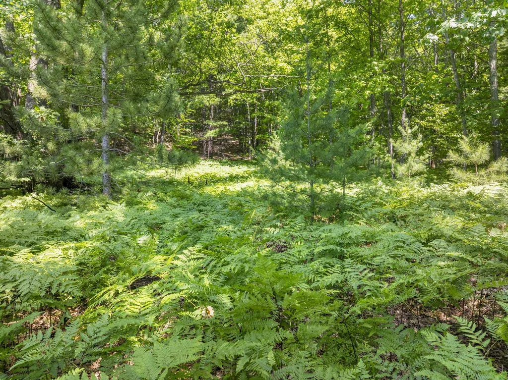 0 O'dell Road Whitewater Township MI 49690