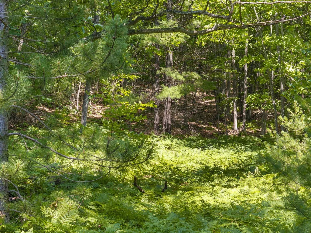 0 O'dell Road Whitewater Township MI 49690