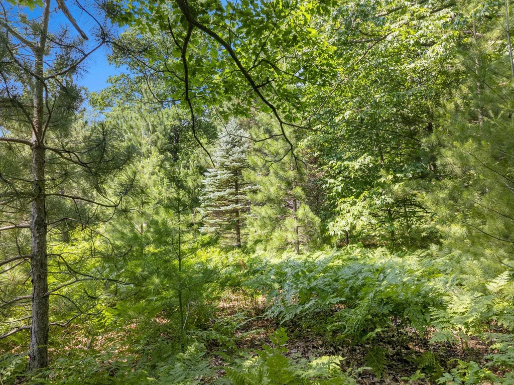 0 O'dell Road Whitewater Township MI 49690