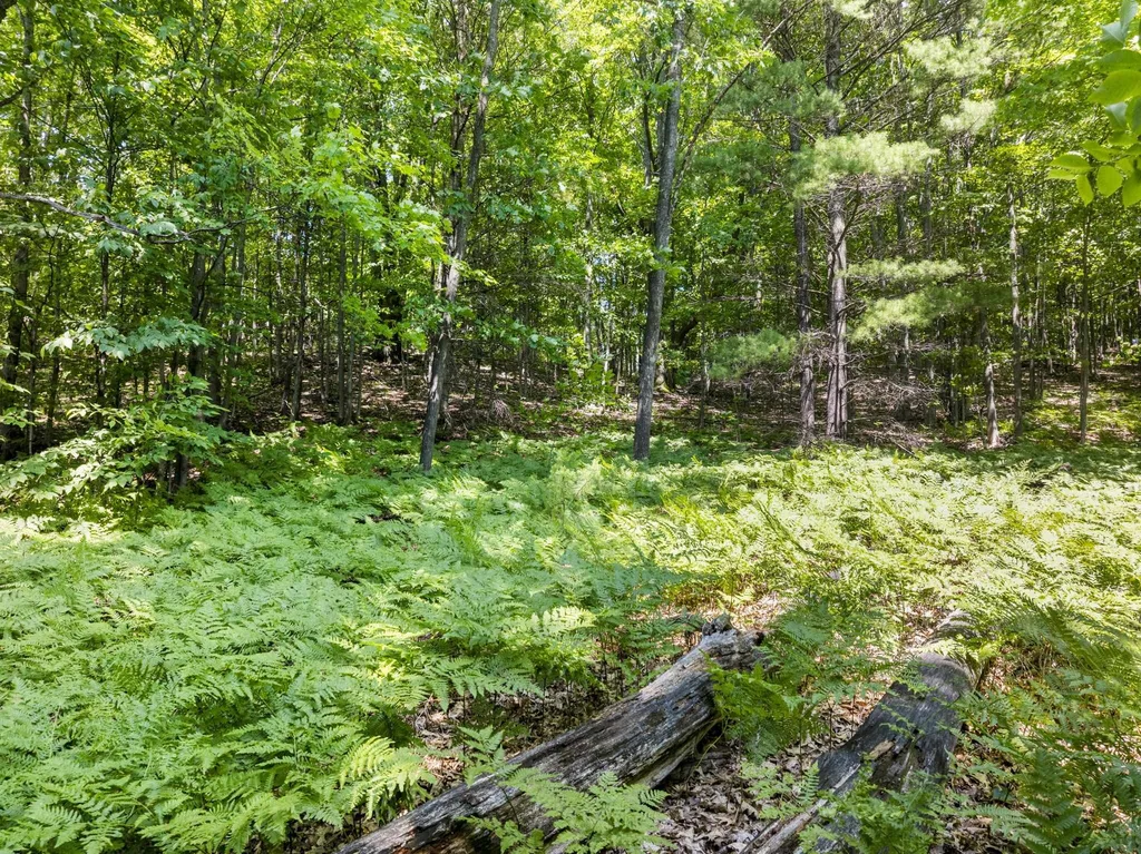 0 O'dell Road Whitewater Township MI 49690