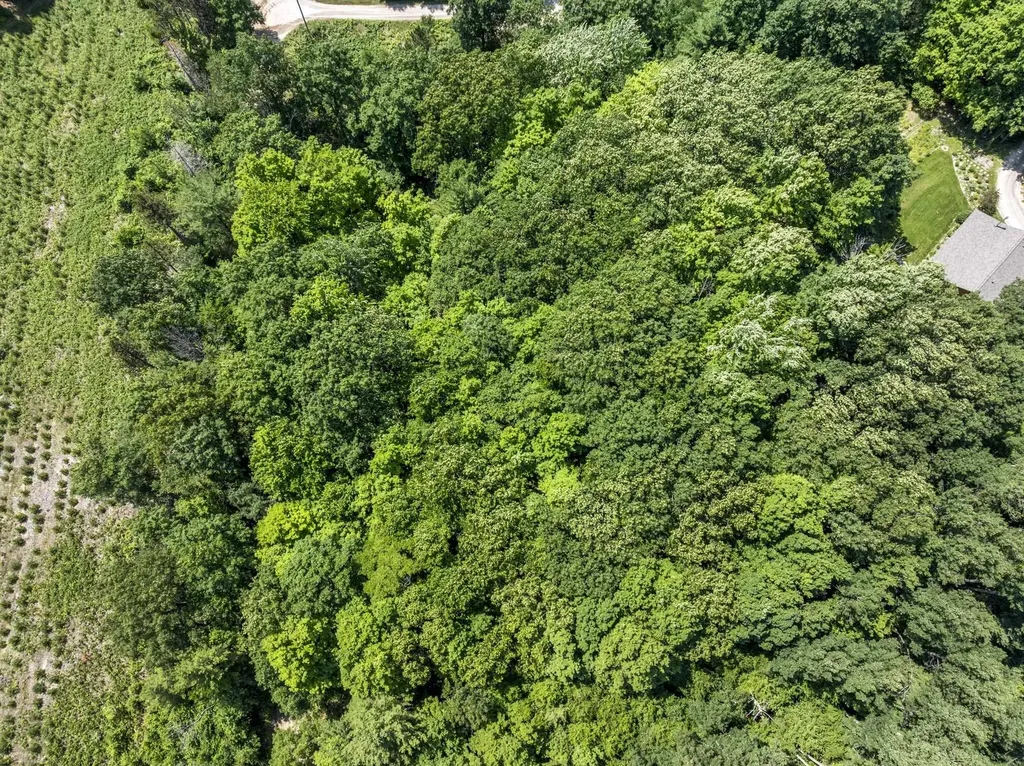0 O'dell Road Whitewater Township MI 49690