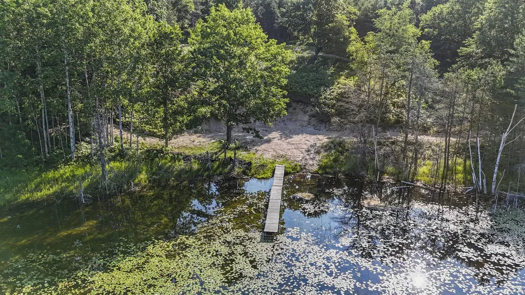 16963 Parcel C Gray Heirs Road Almira Township MI 49650