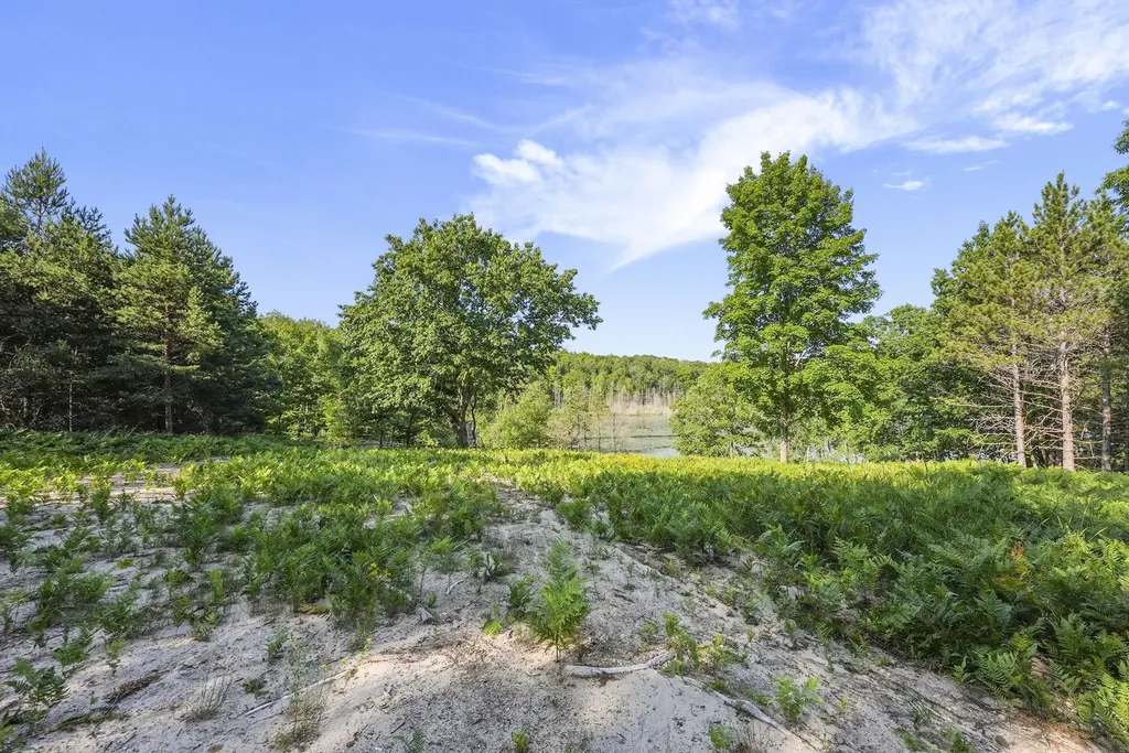 16963 Parcel C Gray Heirs Road Almira Township MI 49650