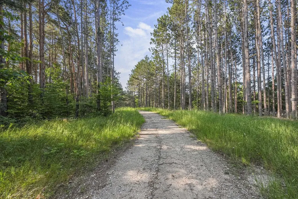 16963 Parcel C Gray Heirs Road Almira Township MI 49650