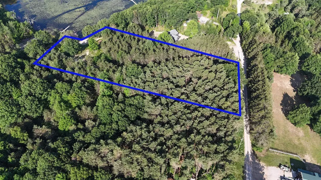 16963 Parcel C Gray Heirs Road Almira Township MI 49650