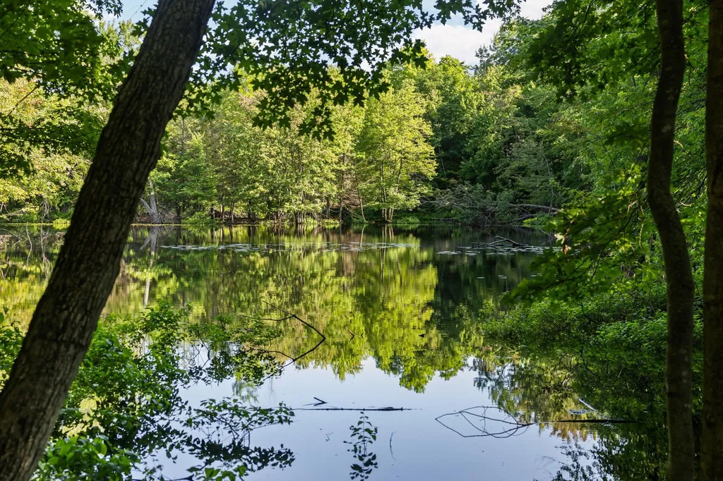498 S West Silver Lake Road Green Lake Township MI 49685