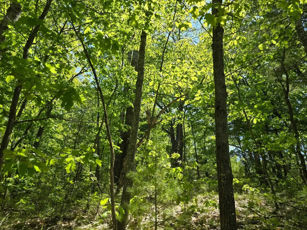 00 E Long Lake Road Haring Charter Township MI 49601