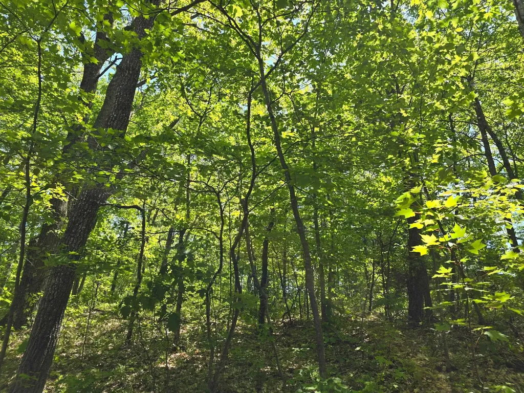 00 E Long Lake Road Haring Charter Township MI 49601