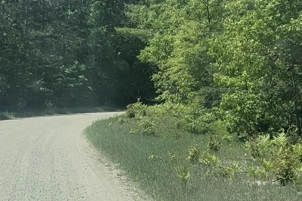 00 E Long Lake Road Haring Charter Township MI 49601