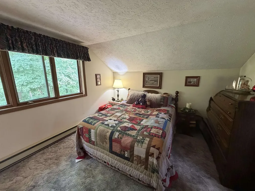10286 Shawnee Trail Hayes Township MI 49735