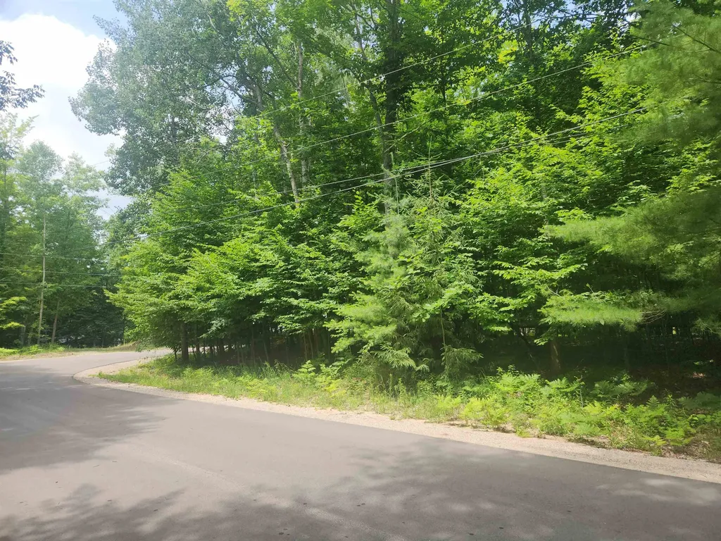 00 Birch View Trail Almira Township MI 49650