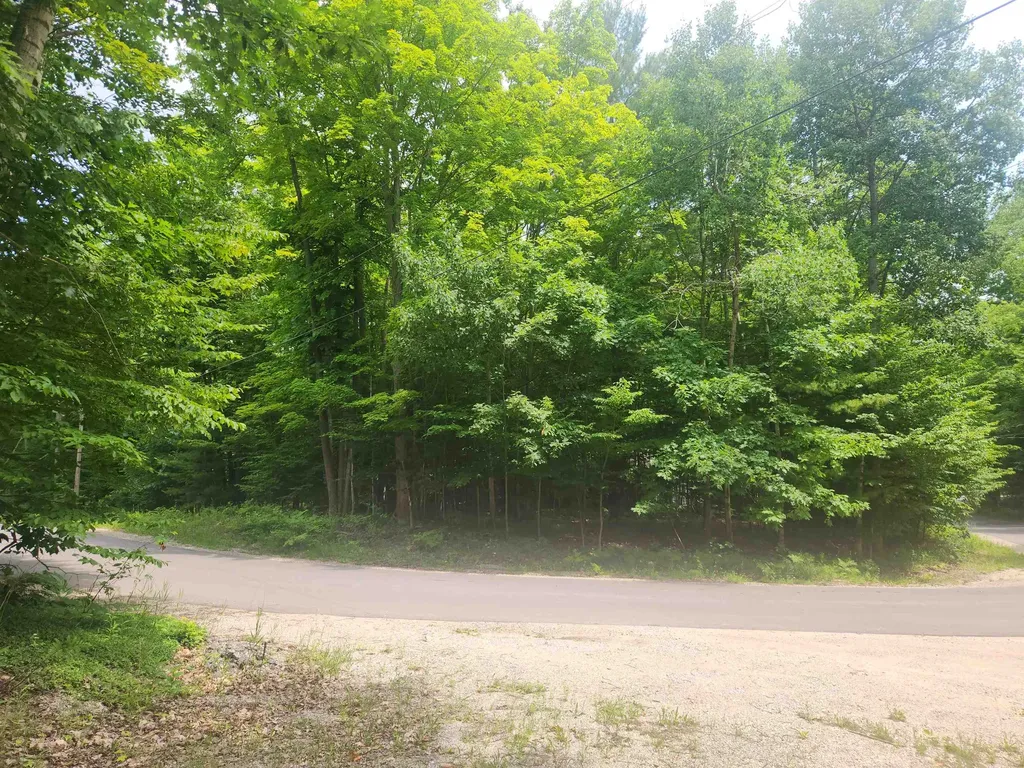 00 Birch View Trail Almira Township MI 49650