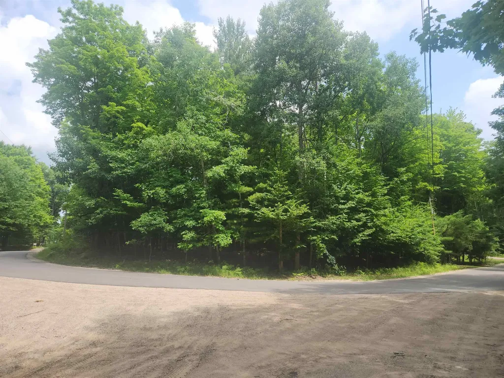 00 Birch View Trail Almira Township MI 49650