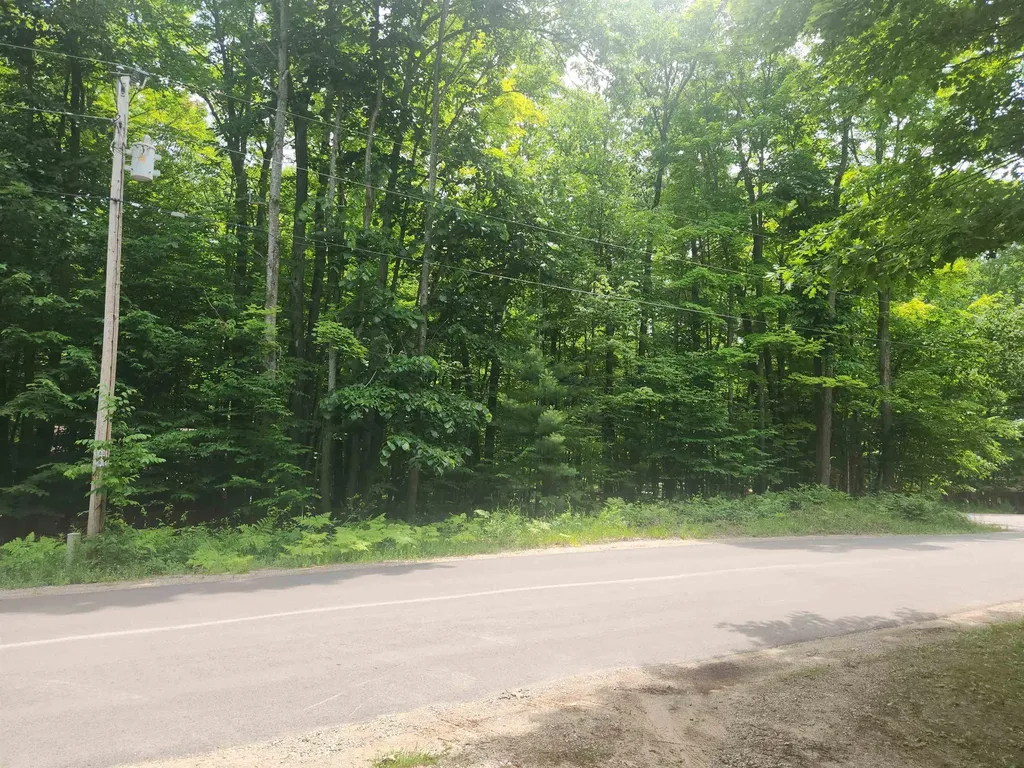 00 Birch View Trail Almira Township MI 49650