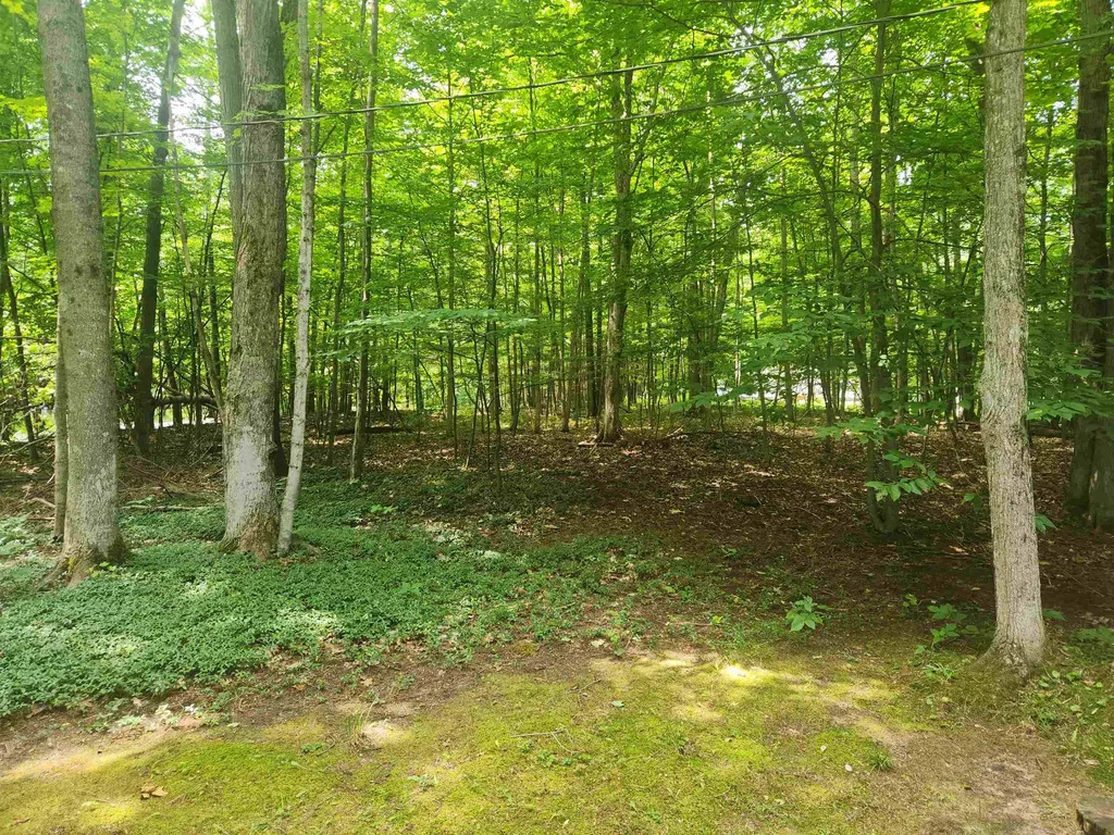 00 Birch View Trail Almira Township MI 49650