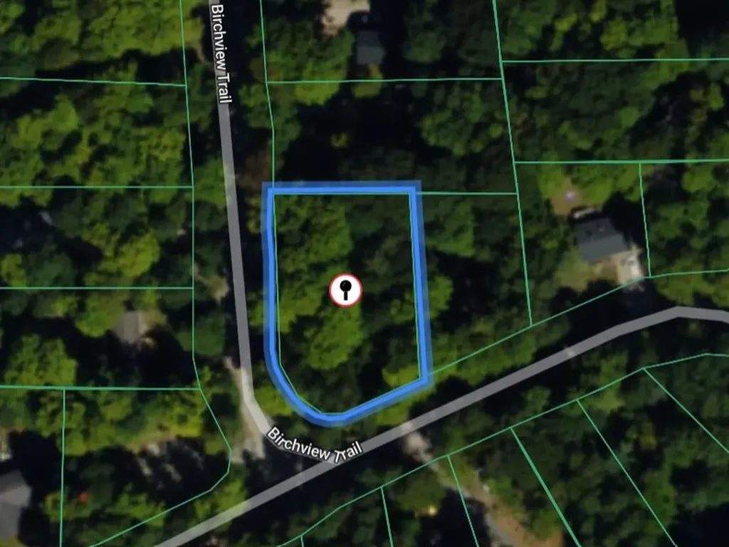 00 Birch View Trail Almira Township MI 49650