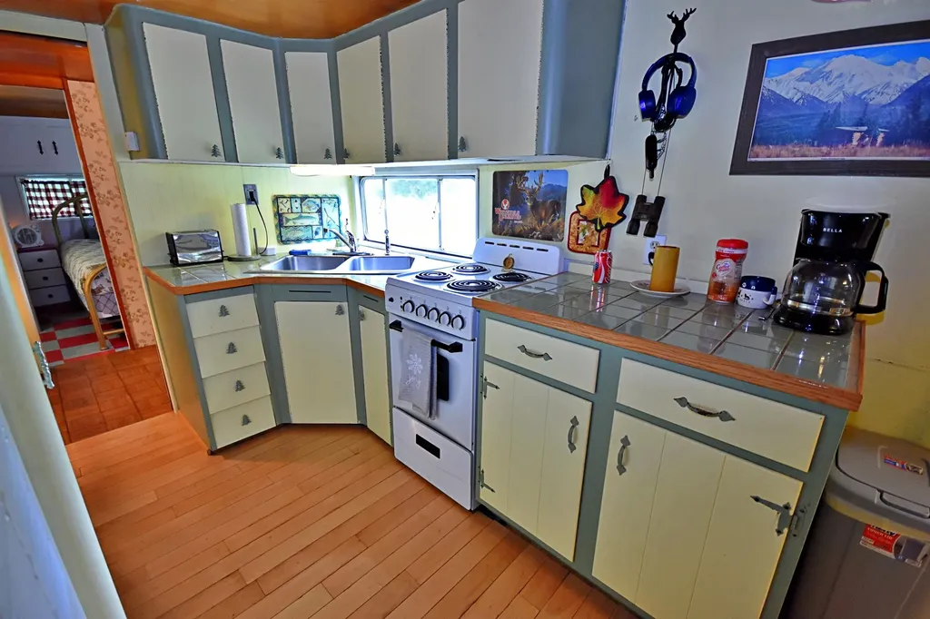 1061 N Anderson Street Forest Township MI 49651