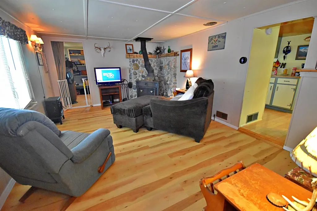 1061 N Anderson Street Forest Township MI 49651
