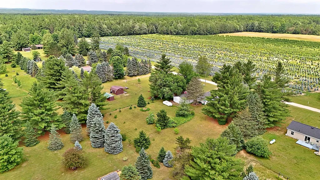 1061 N Anderson Street Forest Township MI 49651