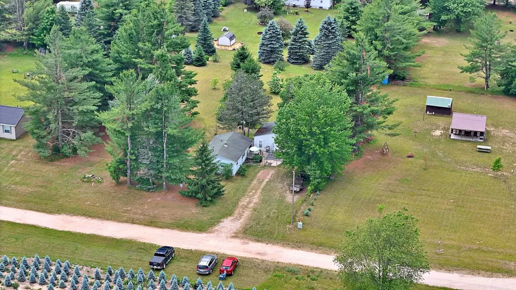 1061 N Anderson Street Forest Township MI 49651