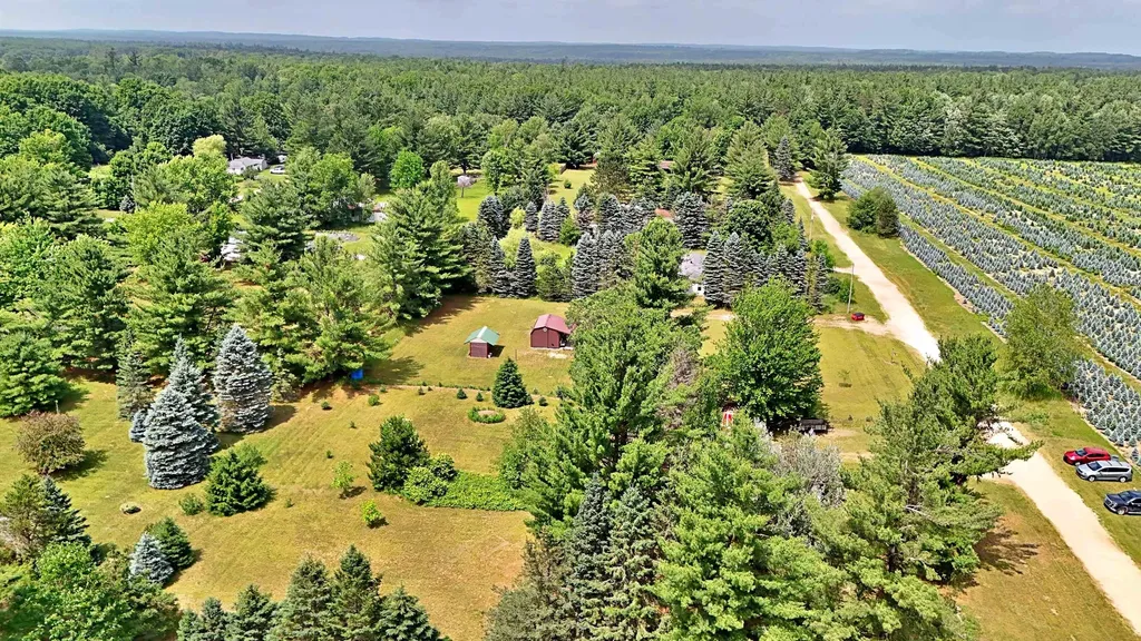 1061 N Anderson Street Forest Township MI 49651