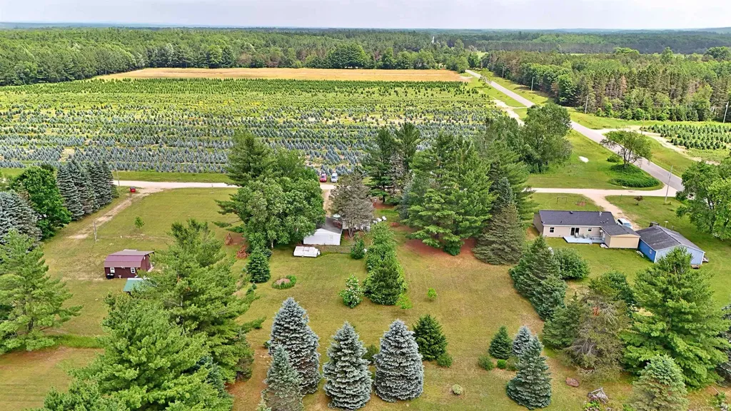 1061 N Anderson Street Forest Township MI 49651