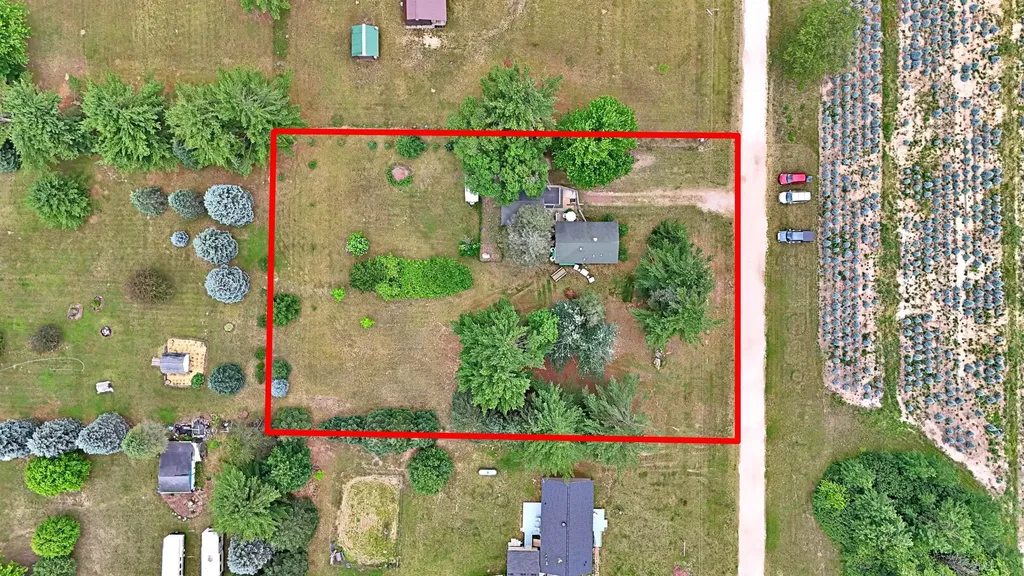 1061 N Anderson Street Forest Township MI 49651